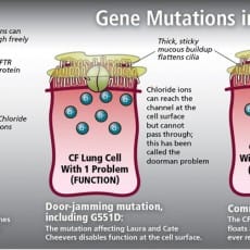 gene-mutations-in-CF