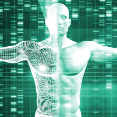 Human_DNA