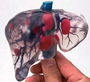 UCSD's 3D Printed Liver Cells Most Liver-like Yet