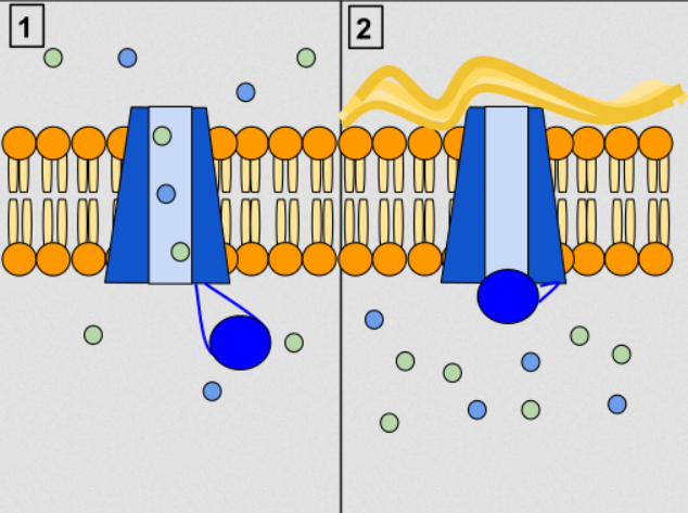 Outcomes and Tolerances in Cystic Fibrosis Treatment Lumacaftor/Ivacaftor