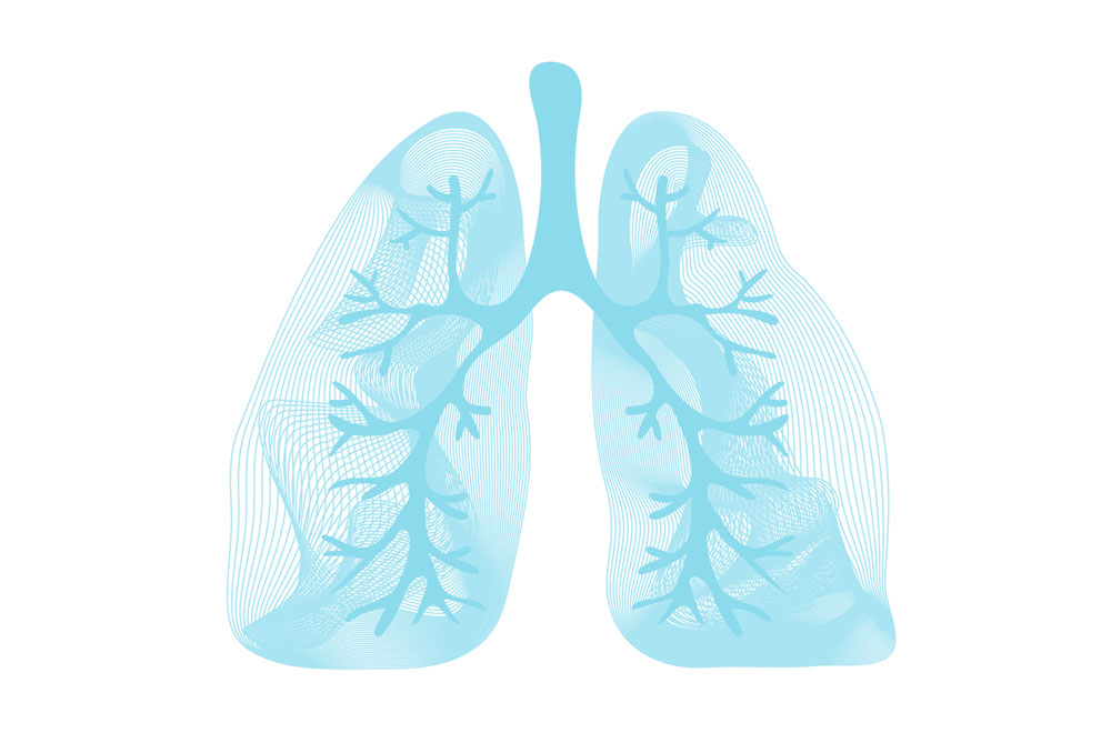 Lung's. Lungs Scheam. Lung Regeneration. Lungs винил Альба.